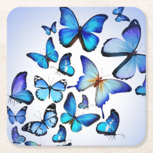 Elegant Modern Stylish Country Blue Butterflies Square Paper Coaster
