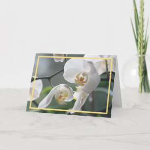 Elegant Modern White Orchids Flowers Golden Frame Card