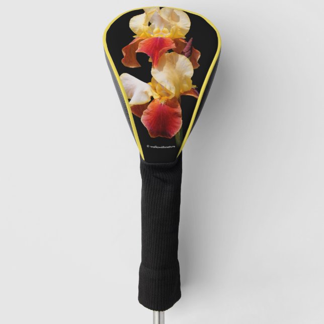 Elegant Multi-Coloured Bearded Iris Germanica Golf Head Cover (Front)