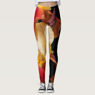 Elegant Multi-Coloured Bearded Iris Germanica Leggings