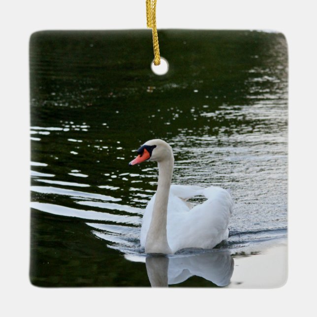 Elegant Mute Swan Ceramic Ornament (Front)