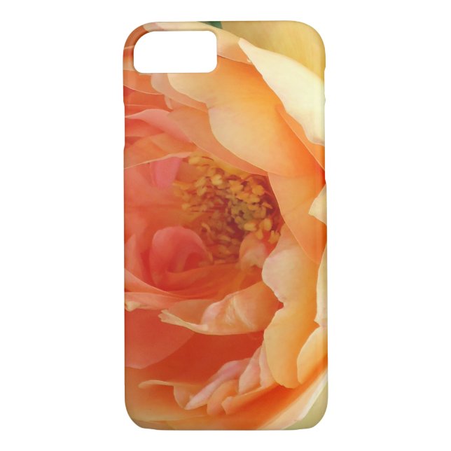 Elegant Orange Blush Rose Case-Mate iPhone Case (Back)
