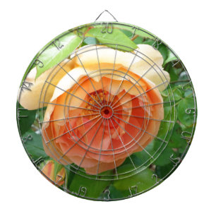 Elegant Orange Blush Rose Dartboard