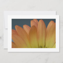 Elegant Orange Petal Custom Invitation