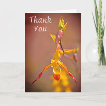 Elegant Orange Yellow Orchid Flower Thank You