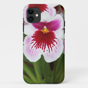 Elegant orchid iris graphic photo iPhone 5case iPhone 11 Case