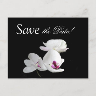 Elegant Orchids Save the Date Postcard