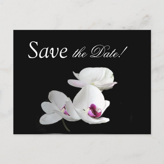 Elegant Orchids Save the Date Postcard (Front)