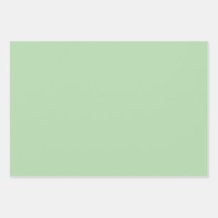 Elegant Pale Green Solid Colour  Wrapping Paper Sheet