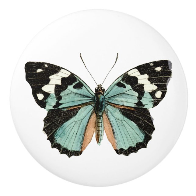 Elégant Papillon Turquoise Bouton en céramique bla (Devant)