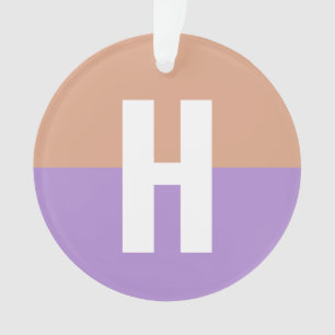 Élégant Pastel Colorblock Monogramme Lettre initia