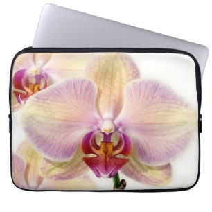 Elegant Pastel Purple Orchid Bloom Laptop Sleeve