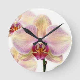 Elegant Pastel Purple Orchid Bloom Round Clock