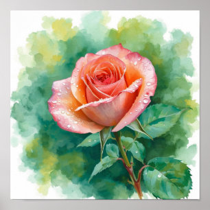 Elegant Peach Rose in Morning Dew: A Vibrant Water Poster