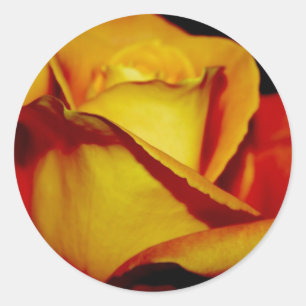 Elegant Peach Wedding Envelope Seals and stickers