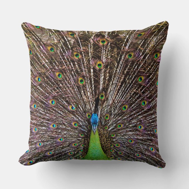 Elegant Peacock Bird and Feather Artwork Throw Pillow (Front)
