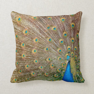 Elegant Peacock Feathers   Throw Pillow