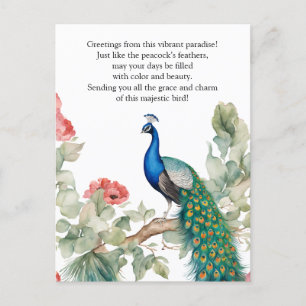 Elegant Peacock Postcard