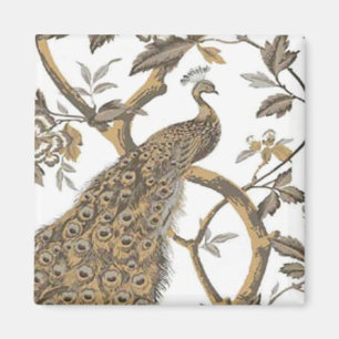 Elégant Peacock Sur Aimant Blanc