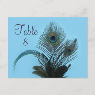 Elegant Peacock Table Number (turquoise) Postcard