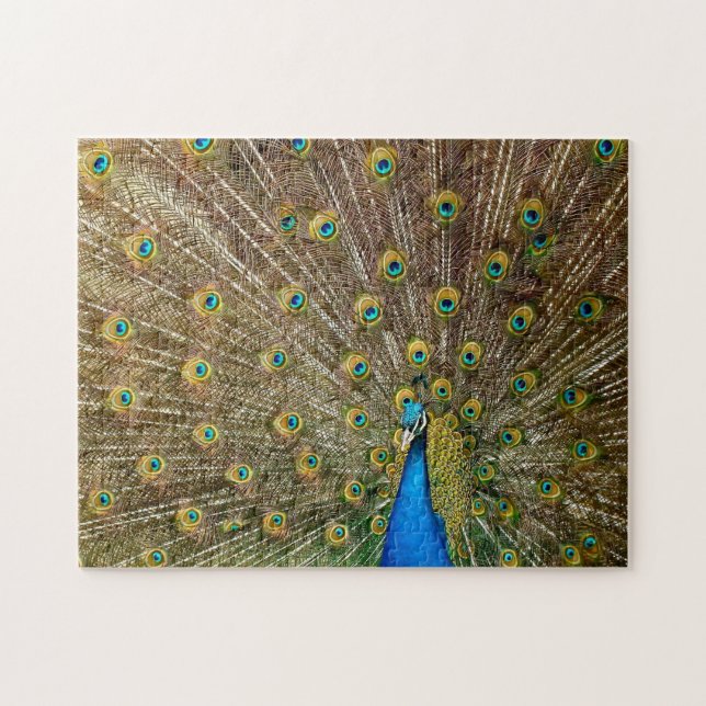 Elegant Peacock Tail Feathers  Jigsaw Puzzle (Horizontal)