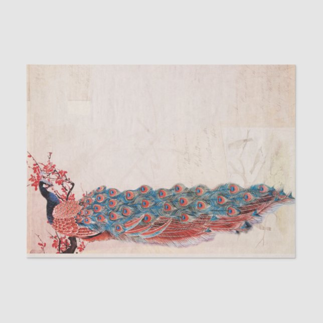 Elegant Peacock Tissue Paper (Front)