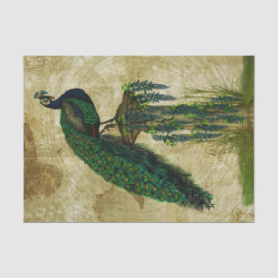 Elegant Peacock Tissue Paper
