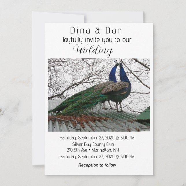 Elegant Peacock Wedding Invitation (Front)