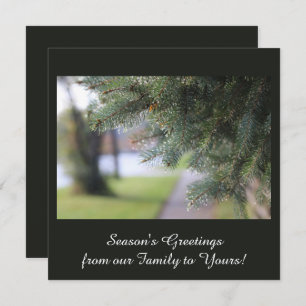 Elegant Personalized Evergreen Branches Dark Green Holiday Card