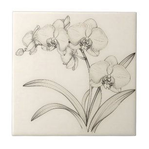 Elegant Phalaenopsis Orchid Line Art Tile