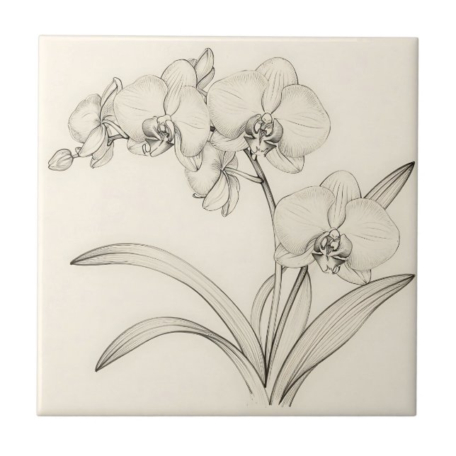 Elegant Phalaenopsis Orchid Line Art Tile (Front)