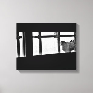 Elegant Pigeon Canvas Print