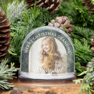 Elegant Pine Border Photo Snow Globe
