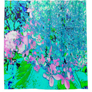 Elegant Pink and Blue Limelight Hydrangea