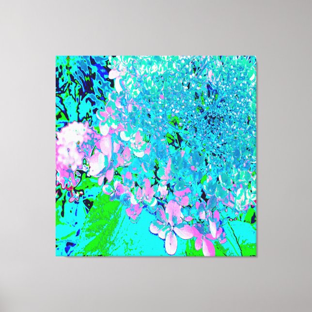 Elegant Pink and Blue Limelight Hydrangea Canvas Print (Front)