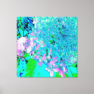 Elegant Pink and Blue Limelight Hydrangea Canvas Print