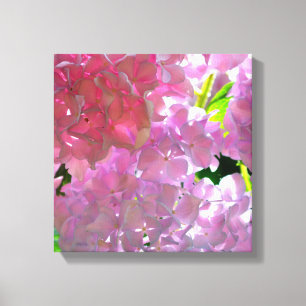 Elegant pink boho florals flowers hydrangeas canvas print