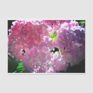 Elegant pink boho florals flowers hydrangeas tissue paper