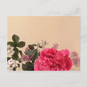 Elegant Pink Cream Floral Postcard