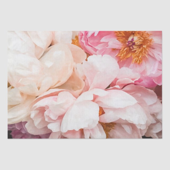 Elegant Pink & Cream Peonies Tissue Paper (Front)
