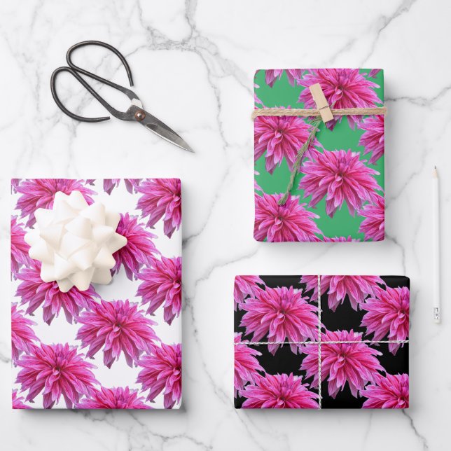 Elegant Pink Dahlia Flower 3 Colourways Gift Wrap (Front)