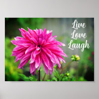 Elegant Pink Dahlia Garden Flower Motivational 