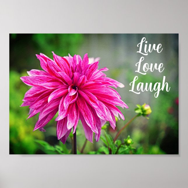 Elegant Pink Dahlia Garden Flower Motivational  Poster (Front)