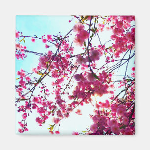 Elegant Pink floral flowers Cherry blossoms Magnet