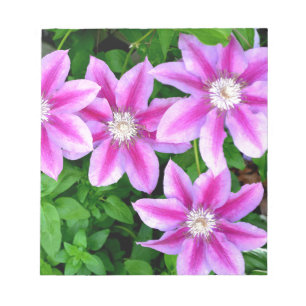 Elegant pink floral green botanical  notepad