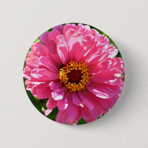 Elegant pink floral retro pink daisy 2 inch round button