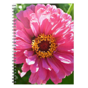 Elegant pink floral retro pink daisy notebook
