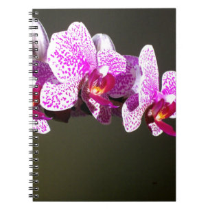 Elegant pink floral tropical pink orchids notebook