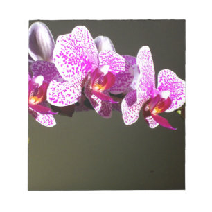 Elegant pink floral tropical pink orchids notepad