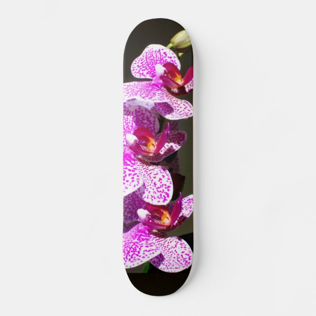 Elegant pink floral tropical pink orchids skateboard (Front)